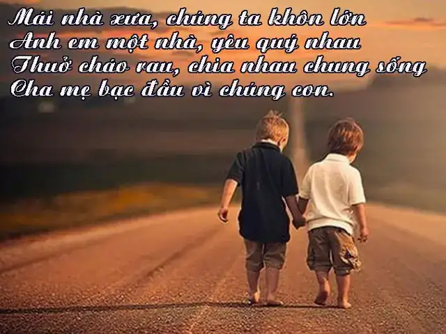 câu nói hay về tình anh em ruột thịt