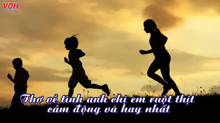 câu nói hay về tình anh em ruột thịt