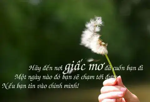 câu nói hay về sống hết mình câu nói hay về sống hết mình