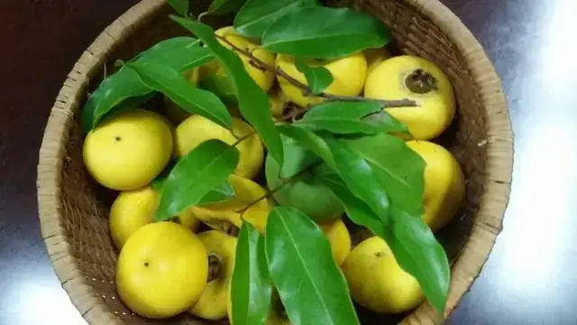 câu nói hay về quả thị