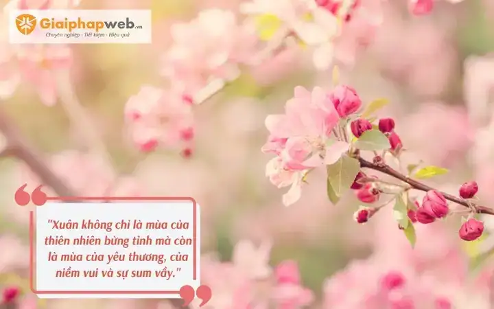 câu nói hay về quả cherry câu nói hay về quả cherry