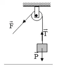 câu nói nào đúng về ròng rọc cố định câu nói nào đúng về ròng rọc cố định