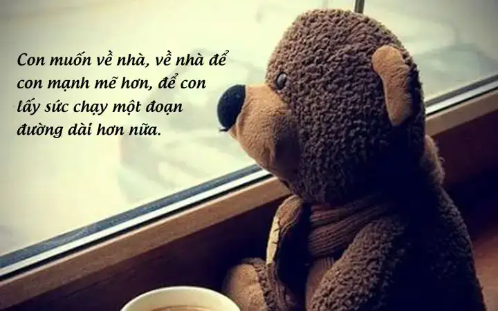 câu nói nhớ nhà