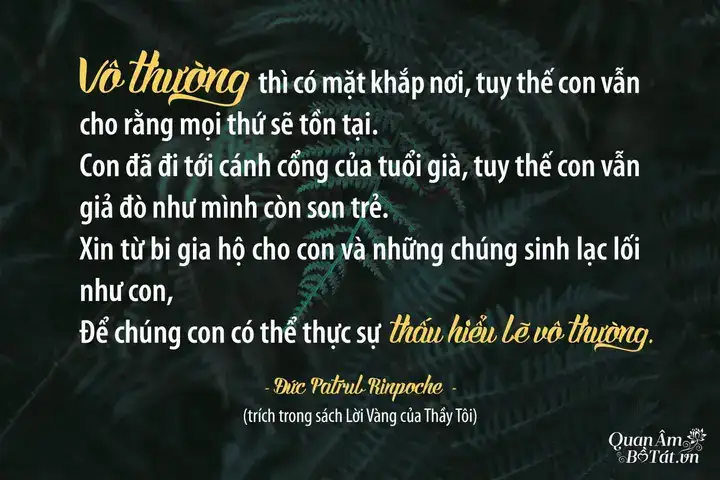 câu nói hay về nhìn xa xăm
