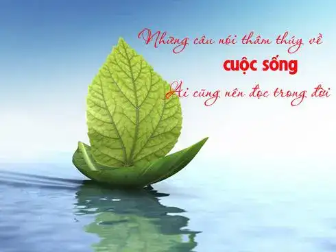 những câu nói thâm thúy về bạn bè