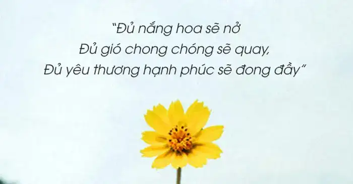 câu nói hay về hoa tàn