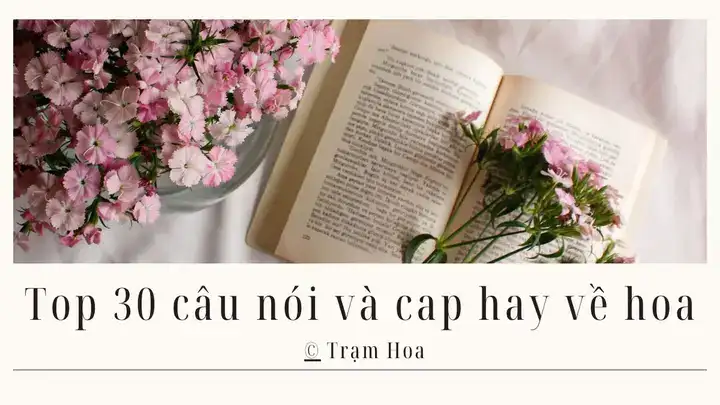 câu nói hay về hoa cát tường câu nói hay về hoa cát tường