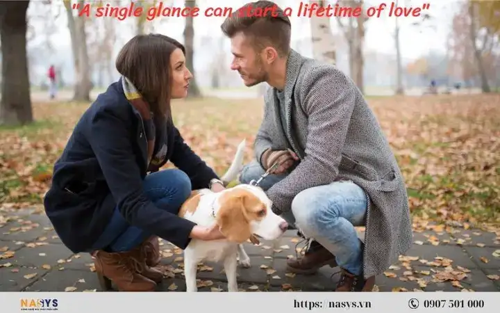 câu nói hay về duyên gặp gỡ