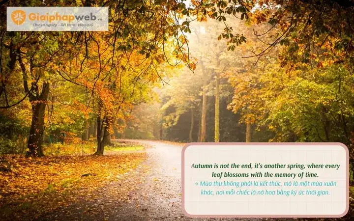 những câu nói hay về mùa thu bằng tiếng anh những câu nói hay về mùa thu bằng tiếng anh