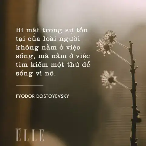 câu nói hay về bí mật câu nói hay về bí mật