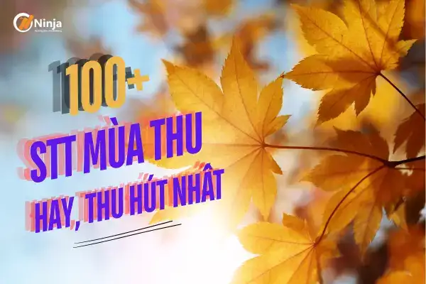 câu nói hài hước về mùa thu câu nói hài hước về mùa thu