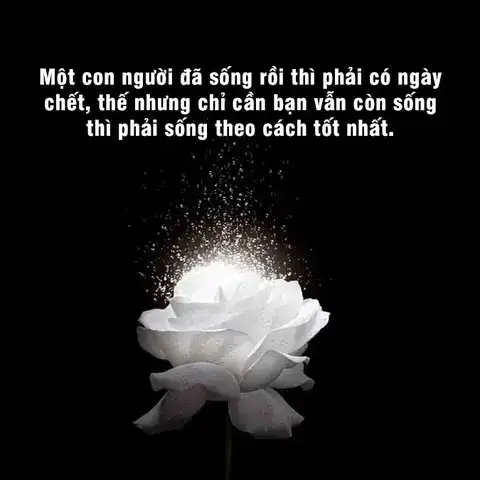 câu nói hay khi mất người thân