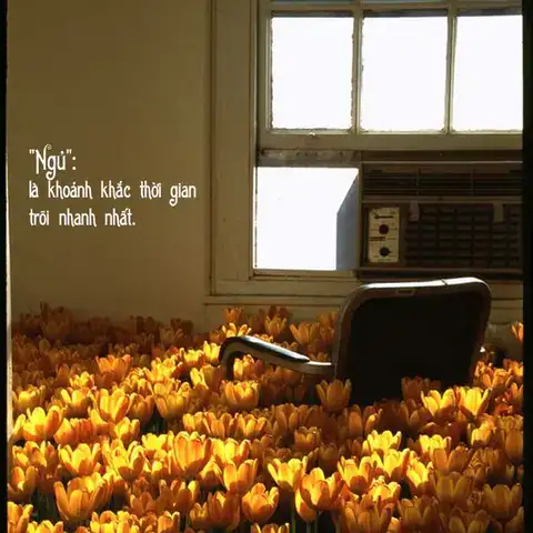 câu nói hài hước về thời gian câu nói hài hước về thời gian