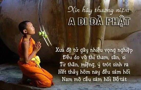 những câu nói sám hối những câu nói sám hối