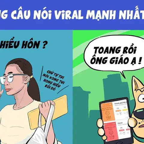 các câu nói trend 2019