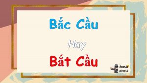 bắc cầu hay bắt cầu