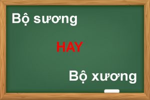 Bộ sương hay bộ xương