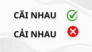Cãi nhau hay cải nhau