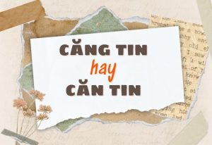 căng tin hay căn tin