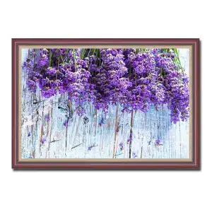 câu nói hay về hoa lavender câu nói hay về hoa lavender