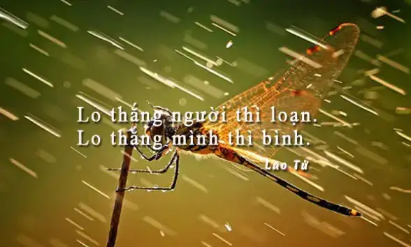 câu nói về tự do