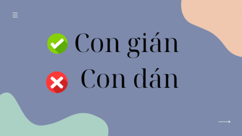 con gián hay con dán 