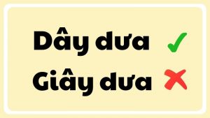 dây dưa hay giây dưa