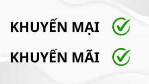 Khuyến mãi hay khuyến mại