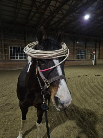 Mãi Mãi Là Bao Xa: Những Câu Nói Hay Về Tình Yêu Và Cuộc Sống