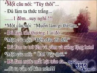một câu nói tùy thôi