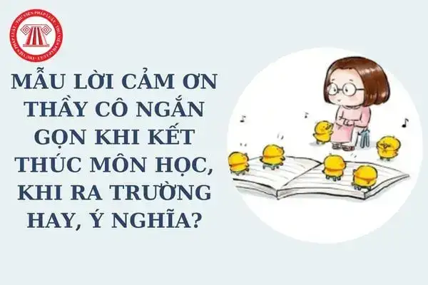những câu nói cảm on thầy cô những câu nói cảm on thầy cô