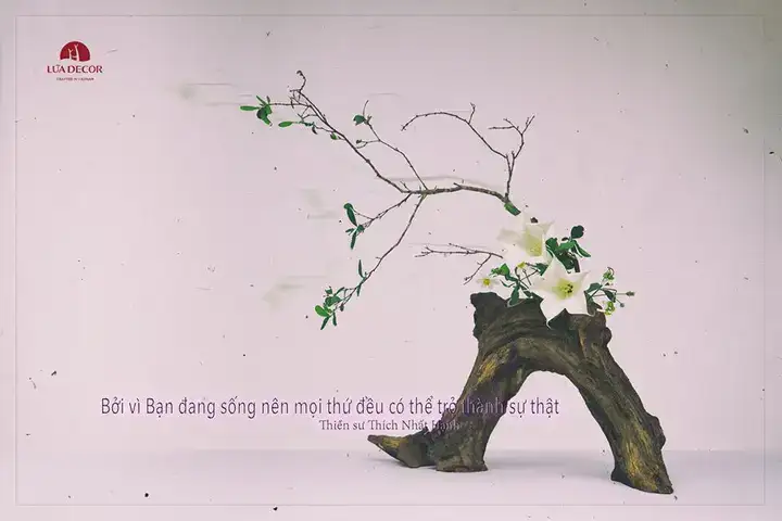 những câu nói hay của sư ông làng mai những câu nói hay của sư ông làng mai