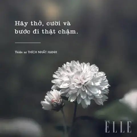 câu nói hay về hơi thở câu nói hay về hơi thở