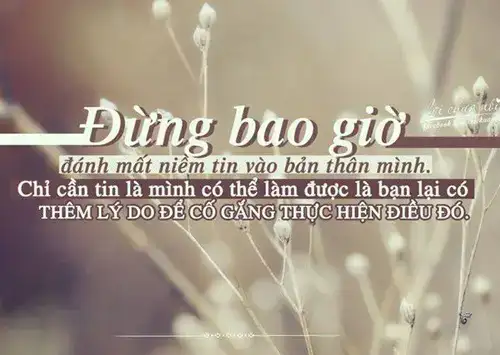 những câu nói hay về mất niềm tin