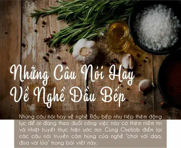 những câu nói hay về nghề đầu bếp những câu nói hay về nghề đầu bếp