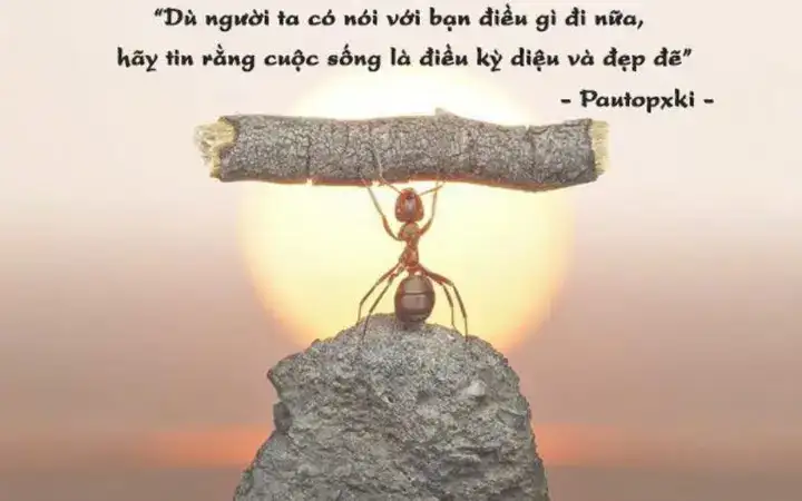 những câu nói hay về suy nghĩ những câu nói hay về suy nghĩ