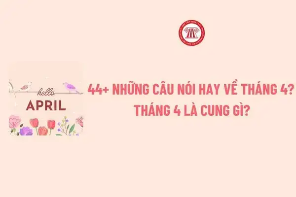 những câu nói hay về tháng 4 những câu nói hay về tháng 4