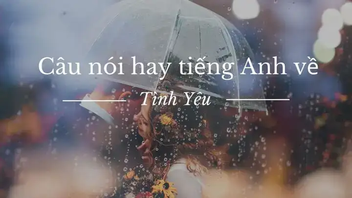 những câu nói hay về tình yêu mùa xuân những câu nói hay về tình yêu mùa xuân