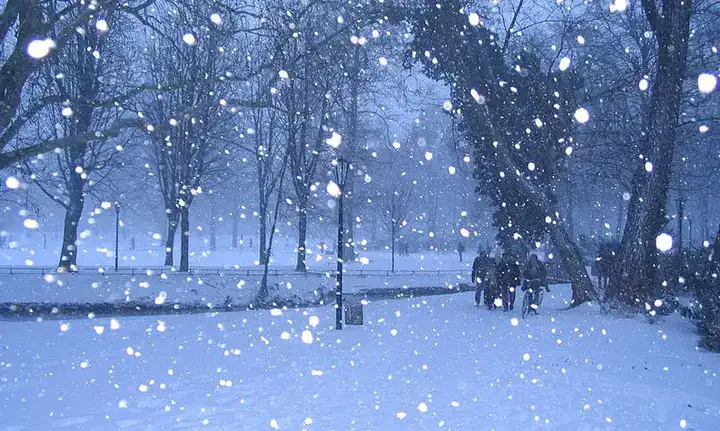 câu nói hay về tuyết đầu mùa câu nói hay về tuyết đầu mùa