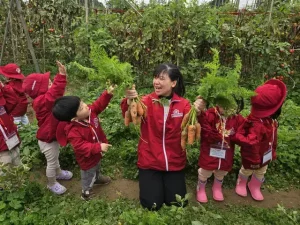 câu nói hay về vườn rau sạch