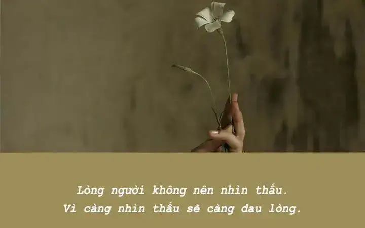 những câu nói phủ phàng trong tình yêu những câu nói phủ phàng trong tình yêu