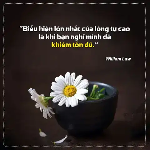 những câu nói về lòng khiêm tốn