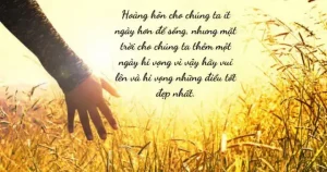 những câu nói về sự buồn bã