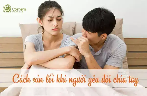những câu nói xin lỗi người yêu khi chia tay những câu nói xin lỗi người yêu khi chia tay