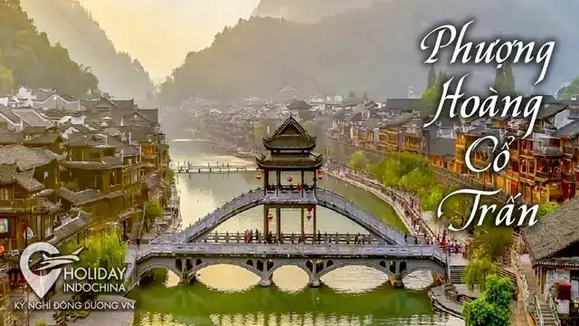 câu nói hay về phượng hoàng