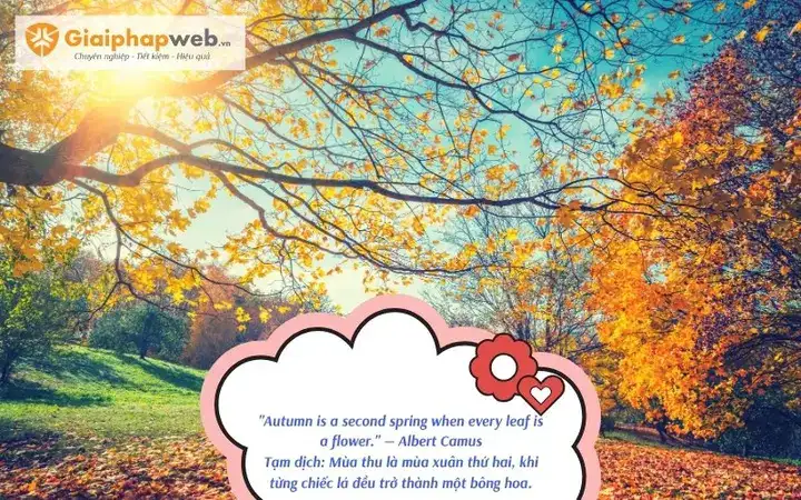 những câu nói hay về mùa thu bằng tiếng anh những câu nói hay về mùa thu bằng tiếng anh