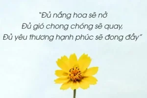 câu nói hay về nắng mùa đông