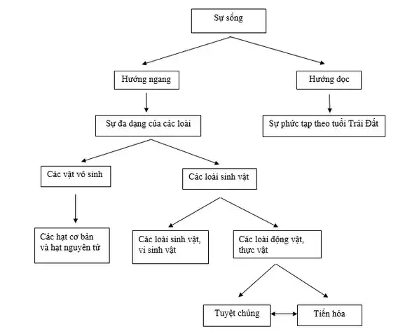 câu nói về sự sống và cái chết câu nói về sự sống và cái chết