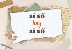 Sỉ số hay sĩ số