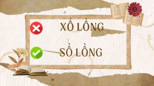 sổ lồng hay xổ lồng